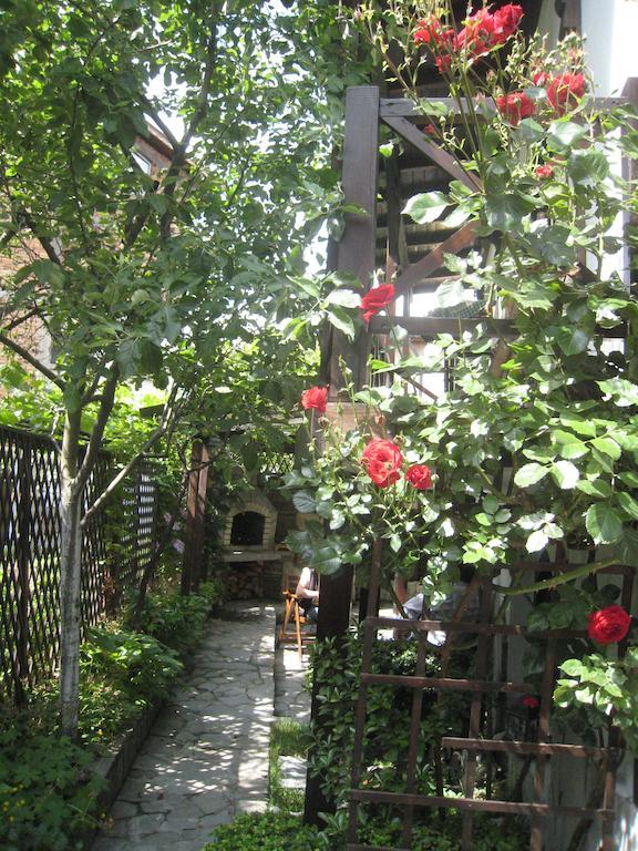 Guest House Voyno Dobrinishte Ngoại thất bức ảnh